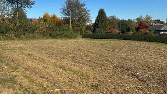 Expose Schönes Baugrundstück in Aurach am Hongar, wenige KM vom Attersee.