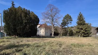 Expose Traumhafter Villenbaugrund am Fuße des Bisambergs