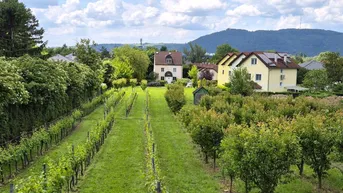 Expose Villenbaugrund (1.335m²) in der Langenzersdorfer Kellergasse am Fuße des Bisambergs
