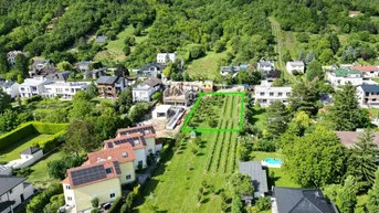 Expose Villenbaugrund (1.335m²) in der Langenzersdorfer Kellergasse am Fuße des Bisambergs