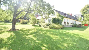 Weitläufiger Garten mit altem Baumbestand und Blick auf das traditionelle Landhaus.
