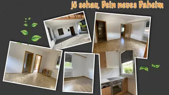 Expose Single-Wohnung im Grünen
