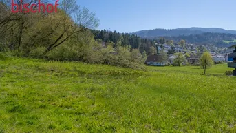 Expose Schönes Grundstück in leichter Hanglage