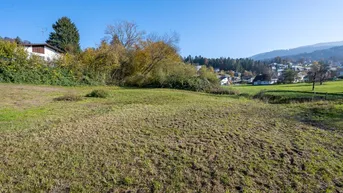 Expose Schönes Grundstück in leichter Hanglage