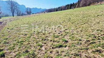 Expose Wunderbarer Bergblick - Ruhelage - nahe am Waldrand