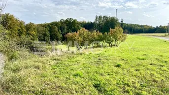 Expose Gewerbe/Industriegrund/Agrarfläche mit Gebäudebestand!