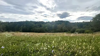 Expose Sonniges Baugrundstück in Südwestlage