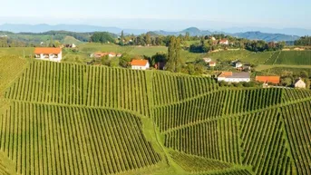Expose Ihr neues Zuhause in den Hügeln der Südsteiermark - Top2
