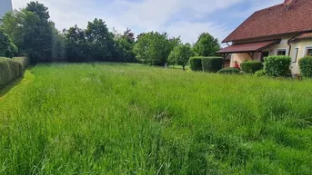 Expose Drei bis vier Wohneinheiten möglich!