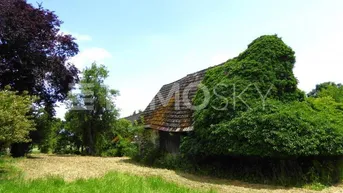 Expose TOP LAGE!!! 2000 m² Bau- und Grünland, mit Gebäude Altbestand!
