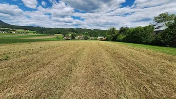 Expose Natur PUR! Perfekt für GenießerInnen!