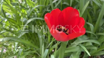 Expose Perfektes Grundstück für Ihr Traumhaus!