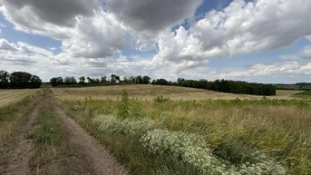 Expose Ruhige Wohngegend des östlichen Weinviertels