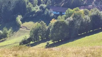 Expose Idyllischer HOF für Landwirtschaft, Mostheurigen, Gästezimmer