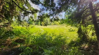 Expose Natur spüren, Freiheit genießen  Ihr Platz zum Ankommen