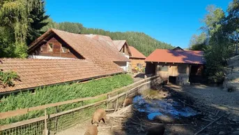 Expose Romantischer Hof für Landwirtschaft, Mostheurigen, Gästezimmer