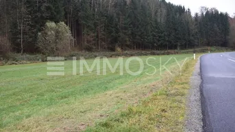 Grüne Wiese neben einer Landstraße mit dichtem Wald im Hintergrund unter bewölktem Himmel.