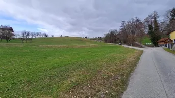 Weitläufige grüne Wiesenlandschaft mit ländlicher Straße und vereinzelten Häusern im Hintergrund unter bewölktem Himmel.