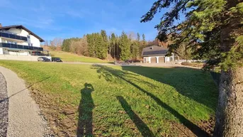 Weitläufiges Grundstück mit grüner Wiese, umgeben von Bäumen und Häusern unter blauem Himmel.