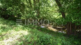 Natürlicher Bachlauf umgeben von üppigem Grün und Bäumen, ideal für Naturliebhaber und Erholung.