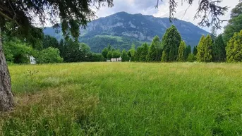 Weite grüne Wiese mit majestätischem Bergpanorama im Hintergrund und umgebenden Bäumen.
