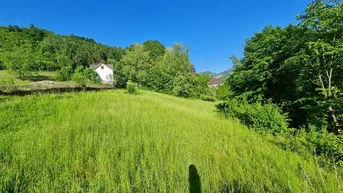 Weitläufige grüne Wiese mit Blick auf bewaldete Hügel und entfernte Häuser unter blauem Himmel.