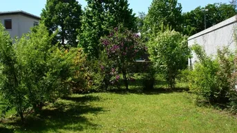 Grüner Gartenbereich mit verschiedenen Sträuchern und Bäumen unter blauem Himmel.