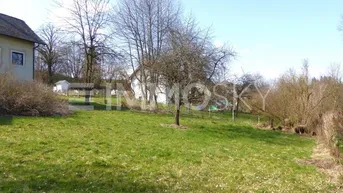 Grüne Rasenfläche mit Bäumen und Blick auf umliegende Häuser unter blauem Himmel.