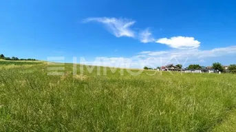 Weitläufiges grünes Feld unter blauem Himmel mit Häusern in der Ferne und sonniger Atmosphäre.