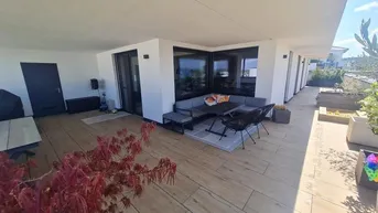 Große, sonnige Terrasse mit moderner Lounge-Sitzgruppe und Pflanzen, ideal zum Entspannen im Freien.