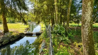 Ein schmaler Bach fließt durch eine grüne Landschaft, umgeben von hohen Bäumen und üppiger Vegetation.