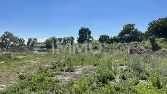 Unbebautes Grundstück mit Gras und Büschen unter blauem Himmel und viel Sonnenlicht.