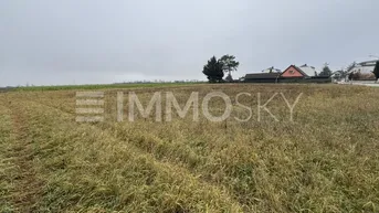 Weitläufiges Grundstück mit trockenem Gras und Blick auf die umliegende Landschaft sowie entfernte Häuser.