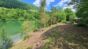 Idyllische Lage am Seeufer mit grünen Hügeln, Bäumen und einem kleinen Haus mit Pool im Hintergrund.