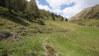 Expose Traumhafte Almimmobilie mit Eigenjagd und Quelle – Flattach, Kärnten

