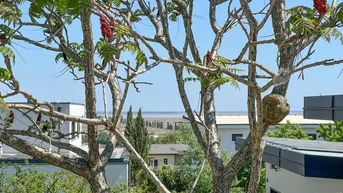 Expose *NEU IM PROGRAMM* Moderner Bungalow - Urlaubsfeeling inklusive