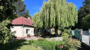Charmantes Haus mit großem Garten, blühenden Rosen und einem markanten Weidenbaum.