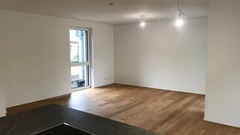 Expose Exklusive Doppelhaushälfte mit 5 Zimmern - Arbeiten oder Arbeiten &amp; Wohnen in Bestlage von Weidling - ZWEITBEZUG