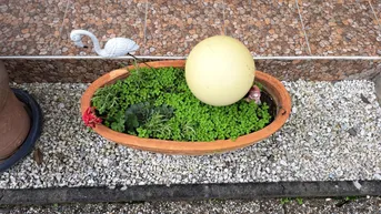 Expose um NUR € 95.000,- Haus + Pool + Grillplatz + Garten Bj 2016