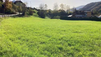 Expose Weyer (OÖ) | ***PREISREDUKTION*** | unbebautes Baugrundstück ca. 2.400 m² (nicht teilbar) zu kaufen
