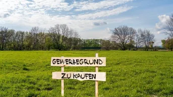 Expose Eisenstadt Umgebung / Betriebsgrundstück ca. 55.000 m² (teilbar) zu kaufen