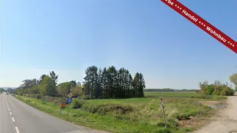 Expose Ebreichsdorf / Grundstück ca. 7.200 m² (nicht teilbar) direkt an der B16 – Baurecht/Superädifikat/Miete