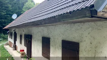 Expose Erhaltenswertes Objekt im Grünland