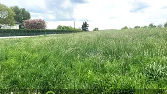 Expose Baugrund in Oberwart - Ruhige Lage mit Fernblick!