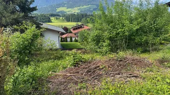 Expose Sonniges Baugrundstück in Hanglage