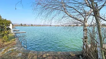 Direkter Zugang zum See mit Steg und Badeleiter, umgeben von natürlicher Vegetation.
