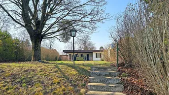 Blick auf das Haus von unten, mit Steinstufen und einem großen Baum im Vordergrund.