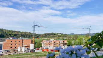 Expose Engerwitzdorf | Mittertreffling - Helle 3 ZI-Neubauwohnung mit großem Balkon - jetzt anfragen!