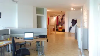 Expose Modern mit Ausstellungs- und Archivflächen