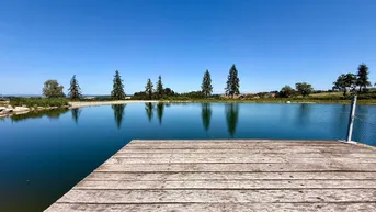 Holzsteg an einem ruhigen Teich unter blauem Himmel, umgeben von Bäumen und Natur.